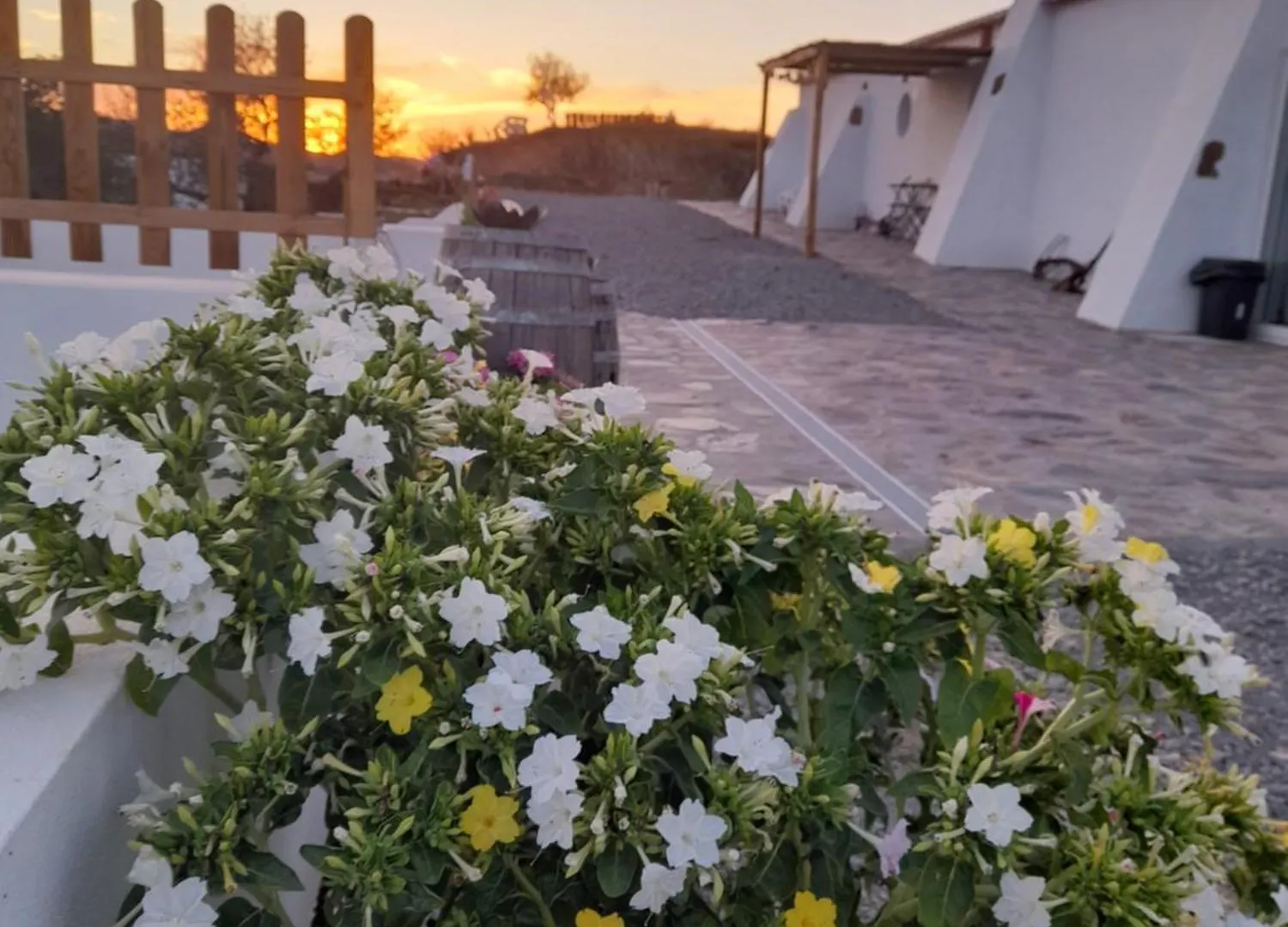 Natur Amendoa Alta Mora Agroturismo