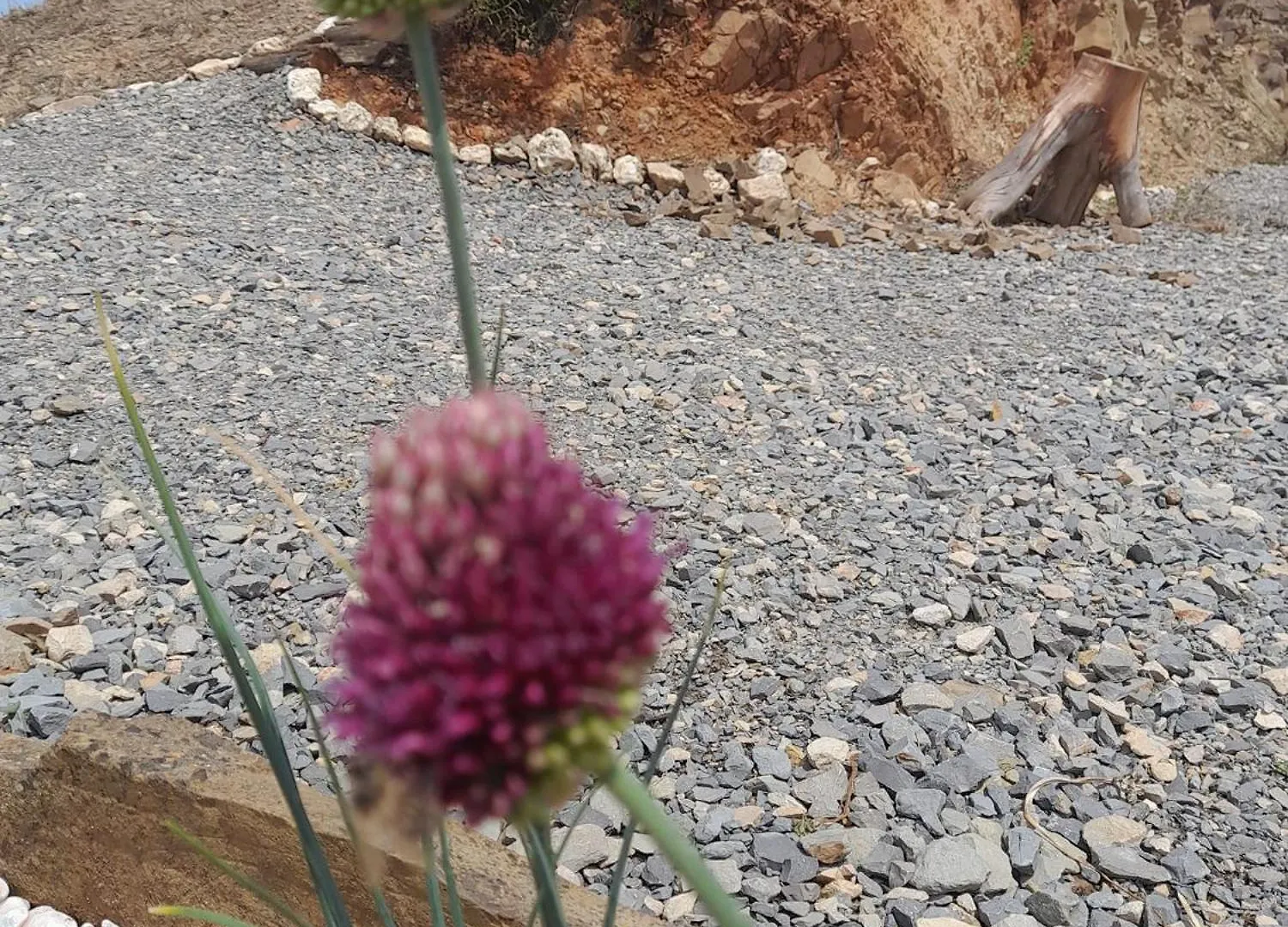 Agroturismo Natur Amendoa Alta Mora