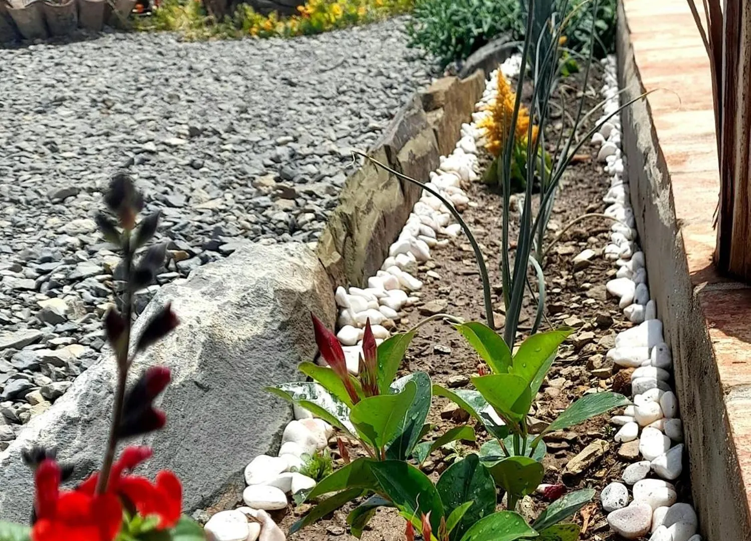 Agroturismo Natur Amendoa Alta Mora