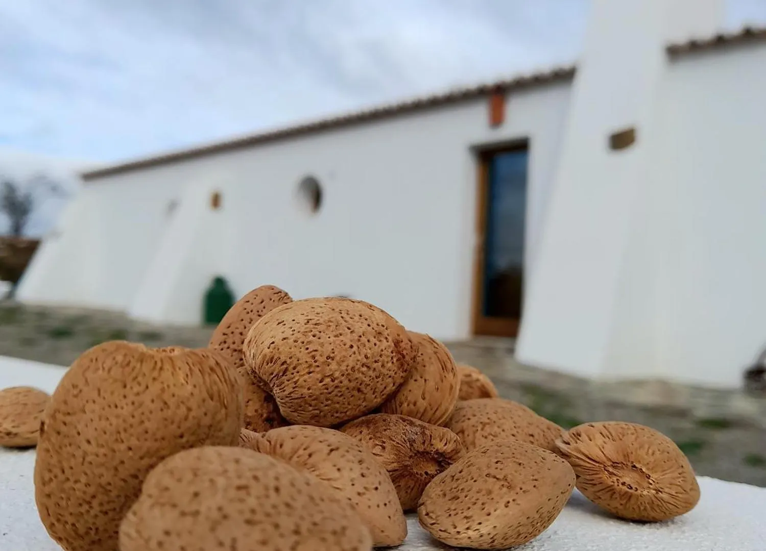 Agroturismo Natur Amendoa Alta Mora