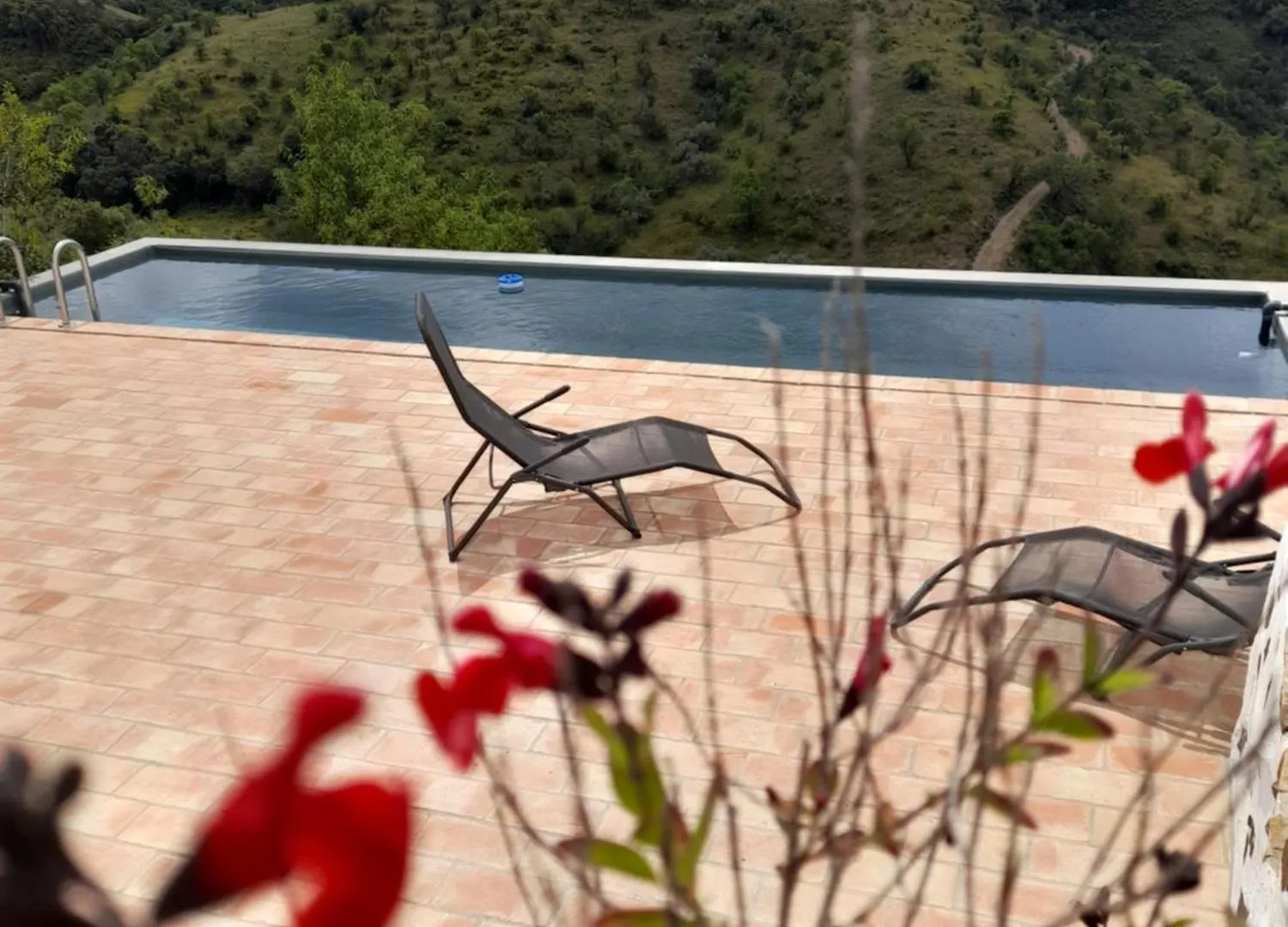 Natur Amendoa Alta Mora